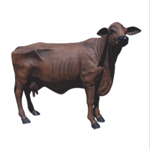 Vaca em Pé em Fibra de Vidro