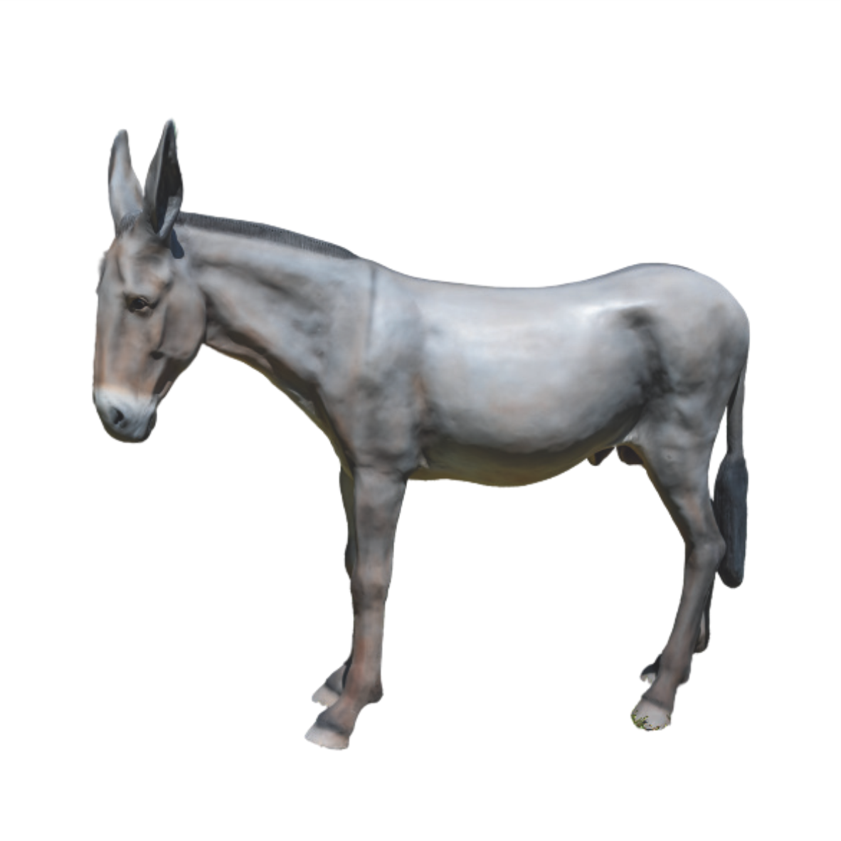 Burro em Fibra de Vidro