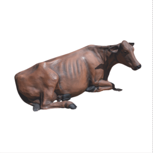 Vaca em Deitada em Fibra de Vidro