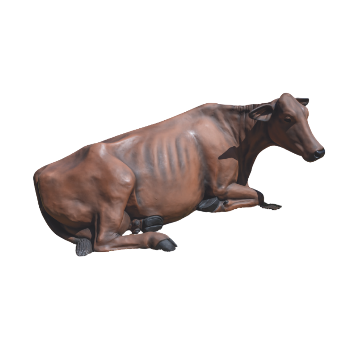 Vaca em Deitada em Fibra de Vidro